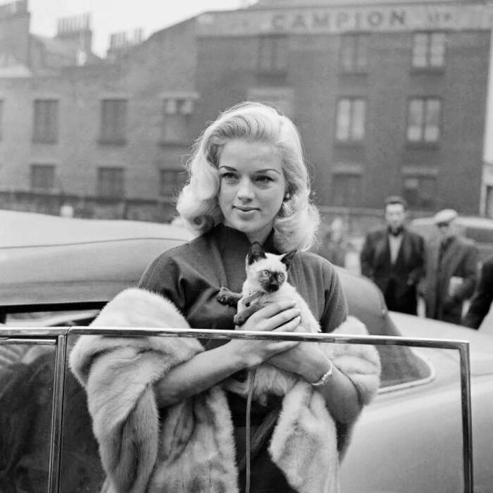 #17 London, United Kingdom, 1957 #1 Worthing, United Kingdom, 1956, #3 Skibotn, Norway, 1967, #11 1960s, #13 1872, #15 1922, #17 London, United Kingdom, 1957, #19 1960, #21 1972, #23 1968, #25 1971, #27 Around 1912, #29 United States, 1955, #31 Paris, France, 1951, #33 Paris, France, 1952, #35 Whittlesey, United Kingdom, 1961, #37 1953, #39 1956, #41 Shot Taken Around 1954, #43 1953, #45 1955, #47 1906