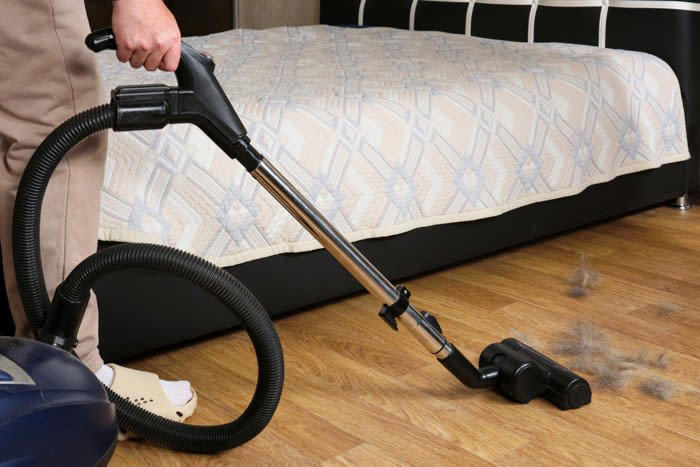 猫の換毛期はいつ？, 1.ブラッシング, 2.こまめな掃除, 3.シャンプーやサマーカット