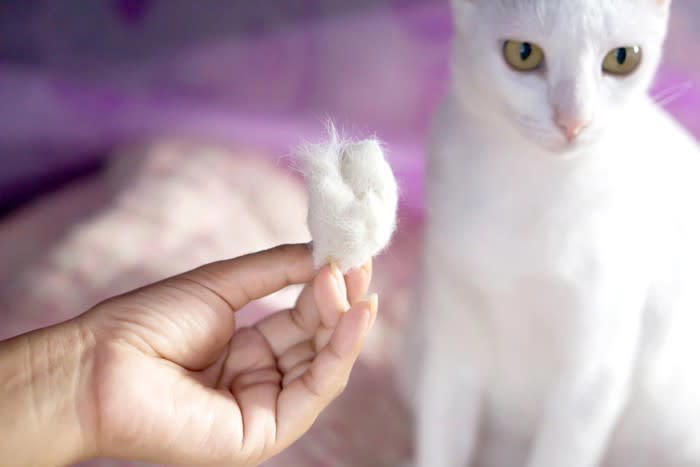 猫の換毛期はいつ？, 1.ブラッシング, 2.こまめな掃除, 3.シャンプーやサマーカット