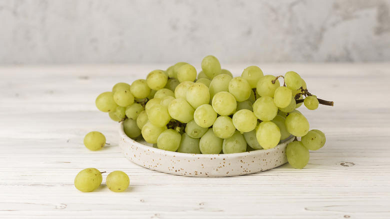 Moon Drops, Lemberger Aka Blaufränkisch, Sweet Jubilee, Champagne Aka Black Corinth, Crimson Seedless, Riesling, Gewürztraminer, Moon Ball, Sultana Aka Thompson Seedless, Fry Muscadine, Thomcord, Canadice, Autumn Royal, Tear Drops Aka Funny Fingers, Red Muscat, Black Muscat, Gum Drops, Faith Grapes