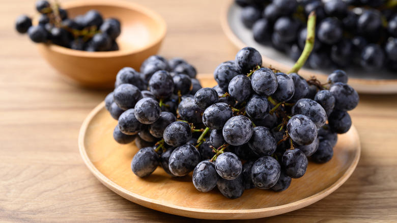 Moon Drops, Lemberger Aka Blaufränkisch, Sweet Jubilee, Champagne Aka Black Corinth, Crimson Seedless, Riesling, Gewürztraminer, Moon Ball, Sultana Aka Thompson Seedless, Fry Muscadine, Thomcord, Canadice, Autumn Royal, Tear Drops Aka Funny Fingers, Red Muscat, Black Muscat, Gum Drops, Faith Grapes