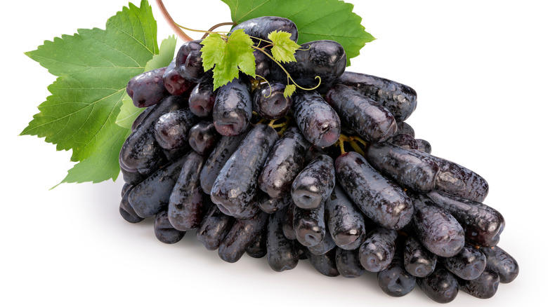 Moon Drops, Lemberger Aka Blaufränkisch, Sweet Jubilee, Champagne Aka Black Corinth, Crimson Seedless, Riesling, Gewürztraminer, Moon Ball, Sultana Aka Thompson Seedless, Fry Muscadine, Thomcord, Canadice, Autumn Royal, Tear Drops Aka Funny Fingers, Red Muscat, Black Muscat, Gum Drops, Faith Grapes