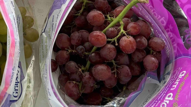 Moon Drops, Lemberger Aka Blaufränkisch, Sweet Jubilee, Champagne Aka Black Corinth, Crimson Seedless, Riesling, Gewürztraminer, Moon Ball, Sultana Aka Thompson Seedless, Fry Muscadine, Thomcord, Canadice, Autumn Royal, Tear Drops Aka Funny Fingers, Red Muscat, Black Muscat, Gum Drops, Faith Grapes