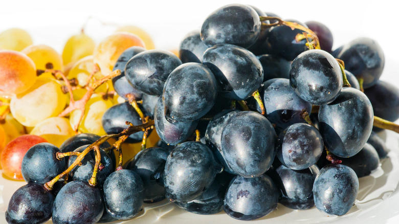 Moon Drops, Lemberger Aka Blaufränkisch, Sweet Jubilee, Champagne Aka Black Corinth, Crimson Seedless, Riesling, Gewürztraminer, Moon Ball, Sultana Aka Thompson Seedless, Fry Muscadine, Thomcord, Canadice, Autumn Royal, Tear Drops Aka Funny Fingers, Red Muscat, Black Muscat, Gum Drops, Faith Grapes
