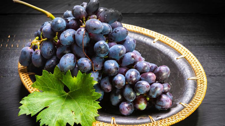 Moon Drops, Lemberger Aka Blaufränkisch, Sweet Jubilee, Champagne Aka Black Corinth, Crimson Seedless, Riesling, Gewürztraminer, Moon Ball, Sultana Aka Thompson Seedless, Fry Muscadine, Thomcord, Canadice, Autumn Royal, Tear Drops Aka Funny Fingers, Red Muscat, Black Muscat, Gum Drops, Faith Grapes