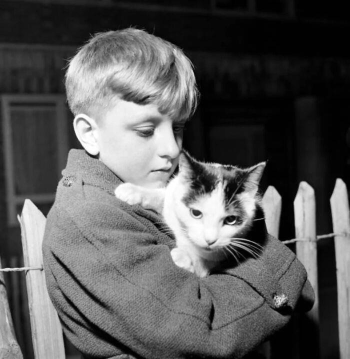 #43 1953 #1 Worthing, United Kingdom, 1956, #3 Skibotn, Norway, 1967, #11 1960s, #13 1872, #15 1922, #17 London, United Kingdom, 1957, #19 1960, #21 1972, #23 1968, #25 1971, #27 Around 1912, #29 United States, 1955, #31 Paris, France, 1951, #33 Paris, France, 1952, #35 Whittlesey, United Kingdom, 1961, #37 1953, #39 1956, #41 Shot Taken Around 1954, #43 1953, #45 1955, #47 1906