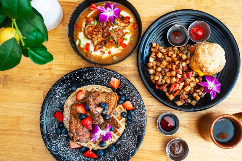 THE SPOTS, El Mil Amores, Foreign Cinema, Hong Kong Lounge, Piccino Presidio, Reem's Mission, Kitchen Story, Early To Rise, Tartine Manufactory, Smoke Soul Kitchen, Outerlands, Piglet & Co, Tastebuds, Mayaflor, Causwells, The Front Porch