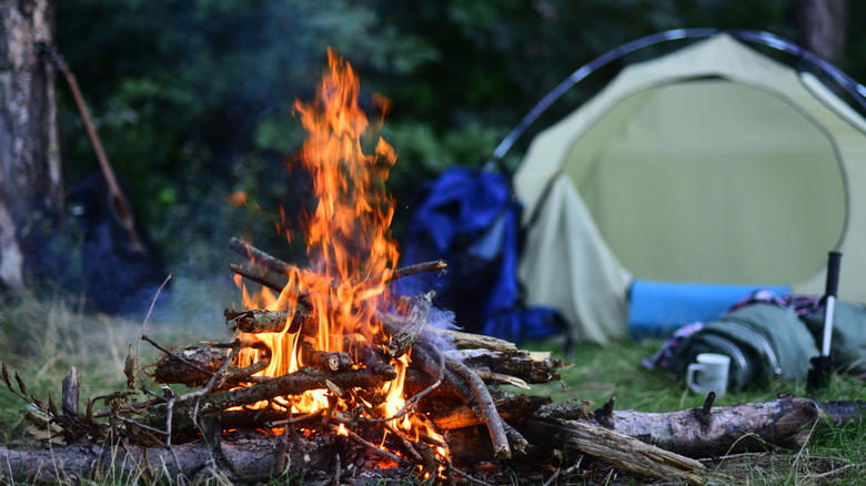 Bauer 20V Cordless, 0 To 160 PSI Inflator, Harbor Freight Foldable Aluminum Sports Chair, Harbor Freight 144 Lumen Ultrabright Portable LED Work Light/Flashlight, Harbor Freight Magnesium Fire Starter, Harbor Freight Foldable Camping Table, How We Picked These Harbor Freight Finds