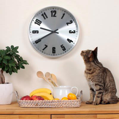 1.猫は小刻みに食事をとる, 2.「母に教わった味」が好みの味になる, 3.理想の温度は38℃, 4.狩り（遊び）と食事を結びつける