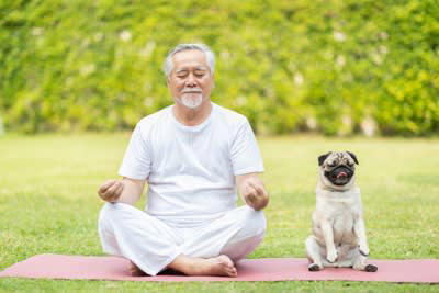 犬を飼っていると飼い主の死亡リスクが下がる理由, 1.運動習慣が身につく, 2.幸せホルモンが分泌される, 3.犬を通じた社会的な繋がりを持つことができる, 犬が飼い主の死亡リスクを下げる研究結果