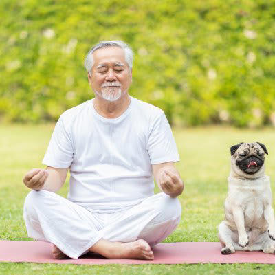 犬を飼っていると飼い主の死亡リスクが下がる理由, 1.運動習慣が身につく, 2.幸せホルモンが分泌される, 3.犬を通じた社会的な繋がりを持つことができる, 犬が飼い主の死亡リスクを下げる研究結果
