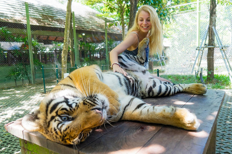Getting too close, Touching animals, Watching performing animals, Feeding wild animals, Buying products made from animals, Focusing on one particular animal
