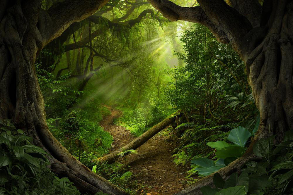 Where the Wild Things Are, The Lion, the Witch and the Wardrobe, Goodnight Moon, The Giving Tree, Bridge to Terabithia, A Wrinkle in Time, The Tale of Peter Rabbit, Anne of Green Gables, The Little Prince, Stories That Never Grow Old