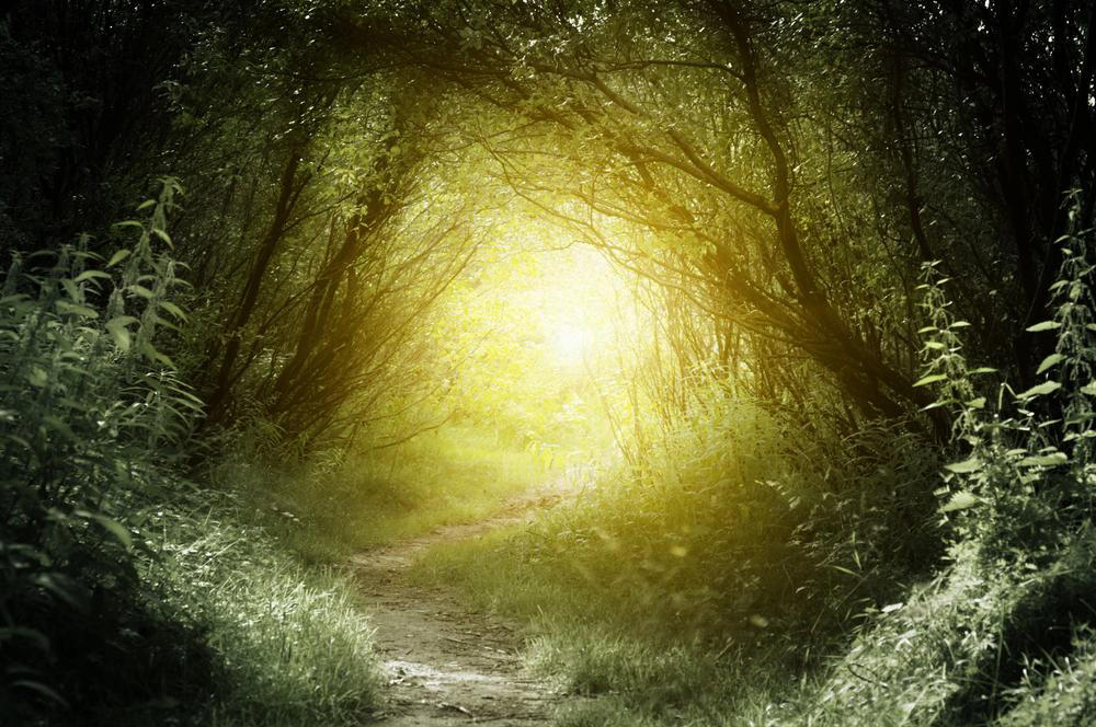 Where the Wild Things Are, The Lion, the Witch and the Wardrobe, Goodnight Moon, The Giving Tree, Bridge to Terabithia, A Wrinkle in Time, The Tale of Peter Rabbit, Anne of Green Gables, The Little Prince, Stories That Never Grow Old