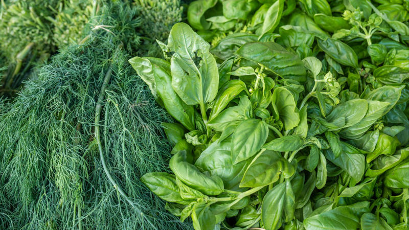 1. Keep Herbs Fresh Longer, 2. Freeze Leftover Wine, 3. Use a Spoon to Peel Ginger, 4. Stop Boiling Over, 5. Make Your Garlic Last, 6. Microwave Lemons to Juice, 7. Stop Oil from Splattering, 8. Reheat Pizza Like a Pro, 9. Peel Tomatoes Easily, 10. Keep Brown Sugar Soft, 11. Freeze Cheese for Grating, 12. The Ice Cube Trick for Soups, 13. Stop Pasta from Sticking, 14. Make Buttermilk Fast, 15. Keep Avocados from Browning, 16. Shake Marinades Instead of Stirring, 17. Make Onion Tears Optional, 18. Pop Corn in a Paper Bag, 19. Egg Peeling Hack, 20. Reuse Herb Stems