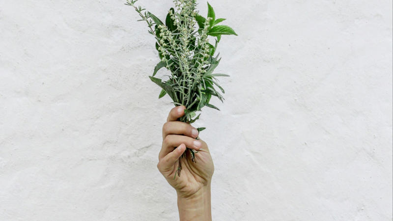 1. Keep Herbs Fresh Longer, 2. Freeze Leftover Wine, 3. Use a Spoon to Peel Ginger, 4. Stop Boiling Over, 5. Make Your Garlic Last, 6. Microwave Lemons to Juice, 7. Stop Oil from Splattering, 8. Reheat Pizza Like a Pro, 9. Peel Tomatoes Easily, 10. Keep Brown Sugar Soft, 11. Freeze Cheese for Grating, 12. The Ice Cube Trick for Soups, 13. Stop Pasta from Sticking, 14. Make Buttermilk Fast, 15. Keep Avocados from Browning, 16. Shake Marinades Instead of Stirring, 17. Make Onion Tears Optional, 18. Pop Corn in a Paper Bag, 19. Egg Peeling Hack, 20. Reuse Herb Stems