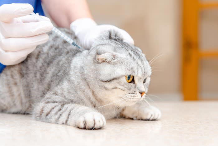 1.感染症の予防, 2.健診の習慣がつく, 3.感染拡大を防ぐ, ワクチンの種類や頻度