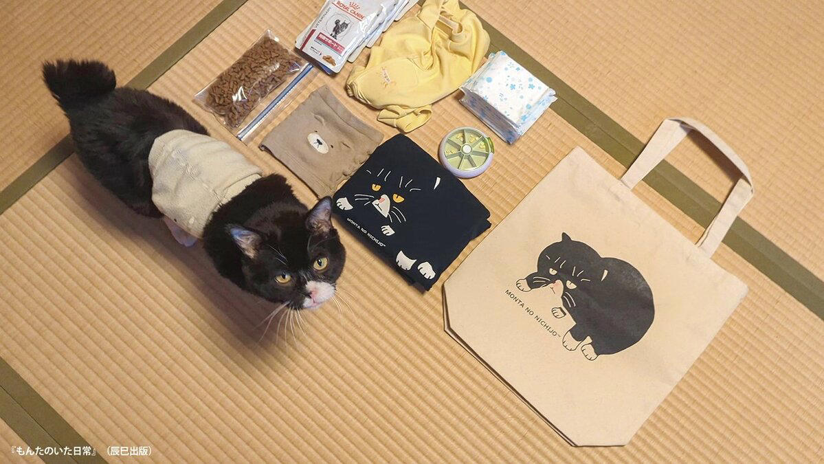 ありのままを発信する, 2021年10月、強制給餌と釜めし, クリスマスイブの夜は朝まで一緒に, 後悔のないケアを