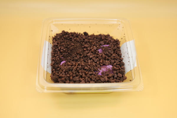実際に掘って食べるスイートポテトが楽しい！, 見た目は完全にロールケーキ。でも……, 甘さのバランスの良さならこれ！, スナック系もやっぱりおいしい, お芋好きなら探してみて