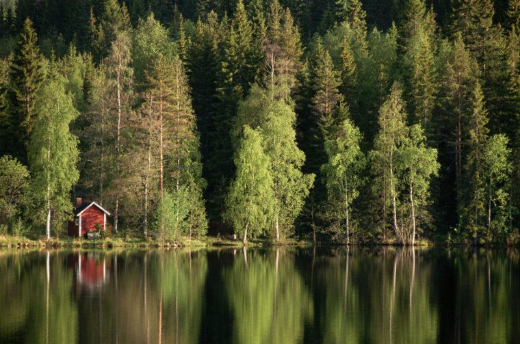 World's happiest country, Sauna Restaurant Kuuma, Nature is close to everyone in Finland, Finland's concept of jokaisenoikeudet, Vallisaari, Travel information