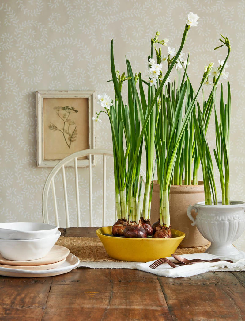 Wall-Mounted Cabinets, Cachepots , Fireplace Accessories, Large Display Cabinets and Chests, Hosting Staples