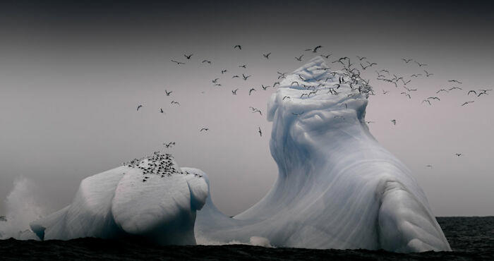#13 Nature – Best Entry By Andreas Wolden. Isfjell #1 Animals - By Grzegorz Bukalski. Winter Nap, #3 People – Best Entry By Josef Hinterleitner. Unser Lied, #5 Animals – Dikye Ariani. Mother's Love, #7 Animals - By Doris Dörfler-Asmus. Ohhhh Nein, #9 Animals - By Tilly Meijer. Kiekeboe, #11 Architecture And Technology - By Tadej Turk. Morning In Ljubljana, #13 Nature – Best Entry By Andreas Wolden. Isfjell, #15 Animals – Robert Sommer. Einzelzimmer Frei, #17 Sport – Category Winner By Andreas Bauer. Straßenfußball, #19 Aerial Photos - By Dani Guindo. Divided, #21 Hobby And Leisure - By Artur Pardo. Color Pencil Refraction, #23 Architecture And Technology - By Giorgio Pizzocaro. Shadows, #25 Sport – Best Entry By Simon Alvarez Foucher. Basket Acrobatique, #27 Travel & Culture – Best Entry By Edgard De Bono. Dances