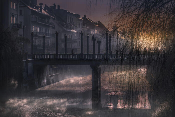 #11 Architecture And Technology - By Tadej Turk. Morning In Ljubljana #1 Animals - By Grzegorz Bukalski. Winter Nap, #3 People – Best Entry By Josef Hinterleitner. Unser Lied, #5 Animals – Dikye Ariani. Mother's Love, #7 Animals - By Doris Dörfler-Asmus. Ohhhh Nein, #9 Animals - By Tilly Meijer. Kiekeboe, #11 Architecture And Technology - By Tadej Turk. Morning In Ljubljana, #13 Nature – Best Entry By Andreas Wolden. Isfjell, #15 Animals – Robert Sommer. Einzelzimmer Frei, #17 Sport – Category Winner By Andreas Bauer. Straßenfußball, #19 Aerial Photos - By Dani Guindo. Divided, #21 Hobby And Leisure - By Artur Pardo. Color Pencil Refraction, #23 Architecture And Technology - By Giorgio Pizzocaro. Shadows, #25 Sport – Best Entry By Simon Alvarez Foucher. Basket Acrobatique, #27 Travel & Culture – Best Entry By Edgard De Bono. Dances
