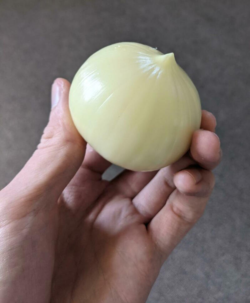 #25 I Found The Legendary Garlic Bulb #1 This Big Lettuce, #3 A Miracle Has Occurred, #5 Giant Lemon Off Our Tree, #9 This Banana Is The Size Of My Entire Forearm, #11 I Cracked An Egg Today And There Were Three Yolks Inside, #13 This Kinder Egg Has Two Layers, #15 I Got A Bonus Roll, #17 My Wife Hit The Animal Cracker Jackpot, #19 Got The Rare Dark Chocolate With Granola Bar Flavor, #21 This Baby Tangerine Was Hiding In A Bigger Tangerine, #23 Behold, The King Of Cereal Flakes, #25 I Found The Legendary Garlic Bulb, #27 I Just Found A Super Long Mini Marshmallow, #29 Giant Puffball Mushroom My Sister Found In The Woods, #31 Garlic-Ception, #33 I Found A Whole Oreo On The Surface Of My Ice Cream, #35 This Comically Huge Strawberry That I Purchased From The Grocery Store Today, #37 This Is The Smallest Pit I've Ever Seen In An Avocado, #39 A Big Cheese Stick, #41 I Found An Orange Without Pith In The Middle, #43 Got This Abnormally Thick Dorito In An Otherwise Normal Packet, #47 My Giant Mini Penne, #49 This Papaya That Ended Up Having One Seed Inside