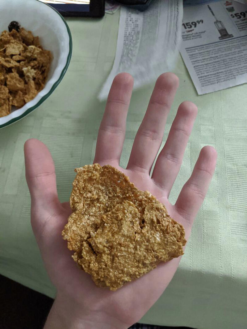 #23 Behold, The King Of Cereal Flakes #1 This Big Lettuce, #3 A Miracle Has Occurred, #5 Giant Lemon Off Our Tree, #9 This Banana Is The Size Of My Entire Forearm, #11 I Cracked An Egg Today And There Were Three Yolks Inside, #13 This Kinder Egg Has Two Layers, #15 I Got A Bonus Roll, #17 My Wife Hit The Animal Cracker Jackpot, #19 Got The Rare Dark Chocolate With Granola Bar Flavor, #21 This Baby Tangerine Was Hiding In A Bigger Tangerine, #23 Behold, The King Of Cereal Flakes, #25 I Found The Legendary Garlic Bulb, #27 I Just Found A Super Long Mini Marshmallow, #29 Giant Puffball Mushroom My Sister Found In The Woods, #31 Garlic-Ception, #33 I Found A Whole Oreo On The Surface Of My Ice Cream, #35 This Comically Huge Strawberry That I Purchased From The Grocery Store Today, #37 This Is The Smallest Pit I've Ever Seen In An Avocado, #39 A Big Cheese Stick, #41 I Found An Orange Without Pith In The Middle, #43 Got This Abnormally Thick Dorito In An Otherwise Normal Packet, #47 My Giant Mini Penne, #49 This Papaya That Ended Up Having One Seed Inside
