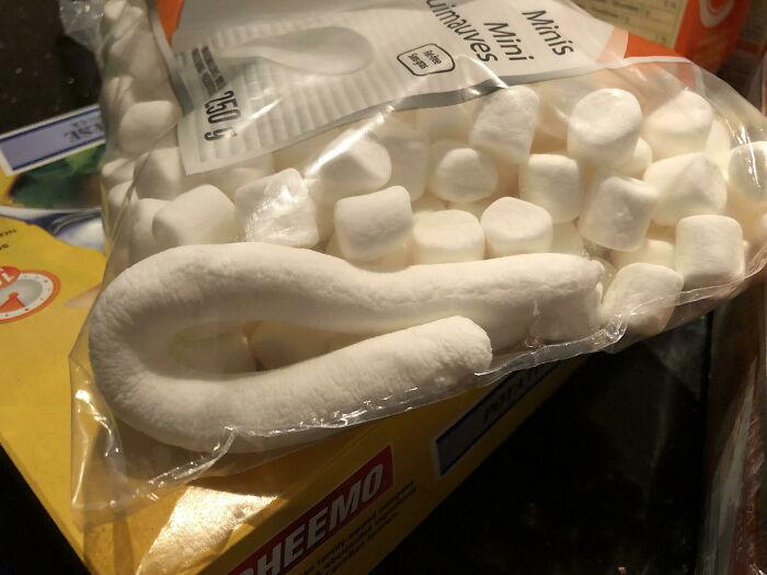 #27 I Just Found A Super Long Mini Marshmallow #1 This Big Lettuce, #3 A Miracle Has Occurred, #5 Giant Lemon Off Our Tree, #9 This Banana Is The Size Of My Entire Forearm, #11 I Cracked An Egg Today And There Were Three Yolks Inside, #13 This Kinder Egg Has Two Layers, #15 I Got A Bonus Roll, #17 My Wife Hit The Animal Cracker Jackpot, #19 Got The Rare Dark Chocolate With Granola Bar Flavor, #21 This Baby Tangerine Was Hiding In A Bigger Tangerine, #23 Behold, The King Of Cereal Flakes, #25 I Found The Legendary Garlic Bulb, #27 I Just Found A Super Long Mini Marshmallow, #29 Giant Puffball Mushroom My Sister Found In The Woods, #31 Garlic-Ception, #33 I Found A Whole Oreo On The Surface Of My Ice Cream, #35 This Comically Huge Strawberry That I Purchased From The Grocery Store Today, #37 This Is The Smallest Pit I've Ever Seen In An Avocado, #39 A Big Cheese Stick, #41 I Found An Orange Without Pith In The Middle, #43 Got This Abnormally Thick Dorito In An Otherwise Normal Packet, #47 My Giant Mini Penne, #49 This Papaya That Ended Up Having One Seed Inside