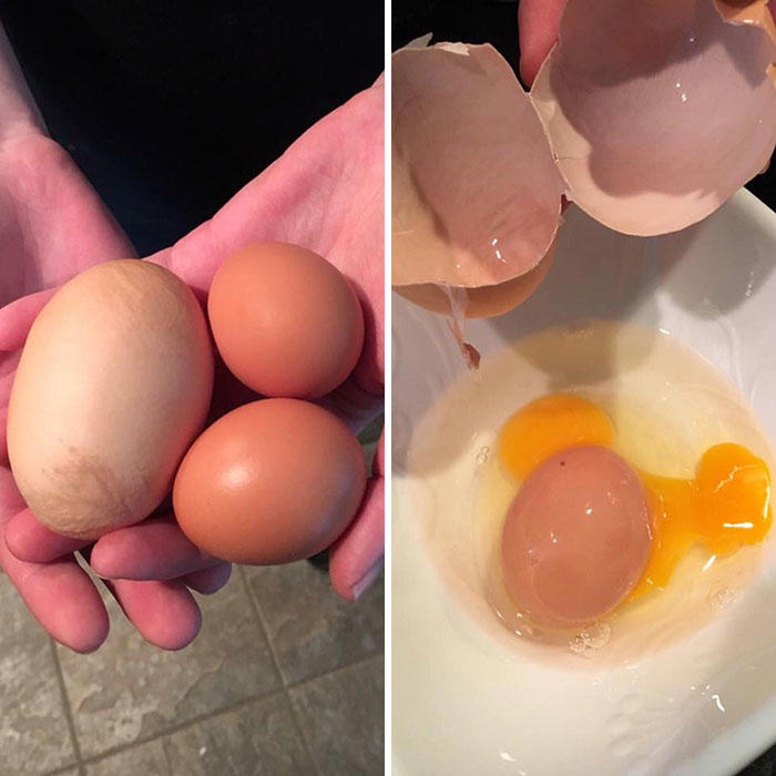 #7 My Friend's Chicken Laid A Huge Egg With A Regular Size Egg Inside It #1 This Big Lettuce, #3 A Miracle Has Occurred, #5 Giant Lemon Off Our Tree, #9 This Banana Is The Size Of My Entire Forearm, #11 I Cracked An Egg Today And There Were Three Yolks Inside, #13 This Kinder Egg Has Two Layers, #15 I Got A Bonus Roll, #17 My Wife Hit The Animal Cracker Jackpot, #19 Got The Rare Dark Chocolate With Granola Bar Flavor, #21 This Baby Tangerine Was Hiding In A Bigger Tangerine, #23 Behold, The King Of Cereal Flakes, #25 I Found The Legendary Garlic Bulb, #27 I Just Found A Super Long Mini Marshmallow, #29 Giant Puffball Mushroom My Sister Found In The Woods, #31 Garlic-Ception, #33 I Found A Whole Oreo On The Surface Of My Ice Cream, #35 This Comically Huge Strawberry That I Purchased From The Grocery Store Today, #37 This Is The Smallest Pit I've Ever Seen In An Avocado, #39 A Big Cheese Stick, #41 I Found An Orange Without Pith In The Middle, #43 Got This Abnormally Thick Dorito In An Otherwise Normal Packet, #47 My Giant Mini Penne, #49 This Papaya That Ended Up Having One Seed Inside