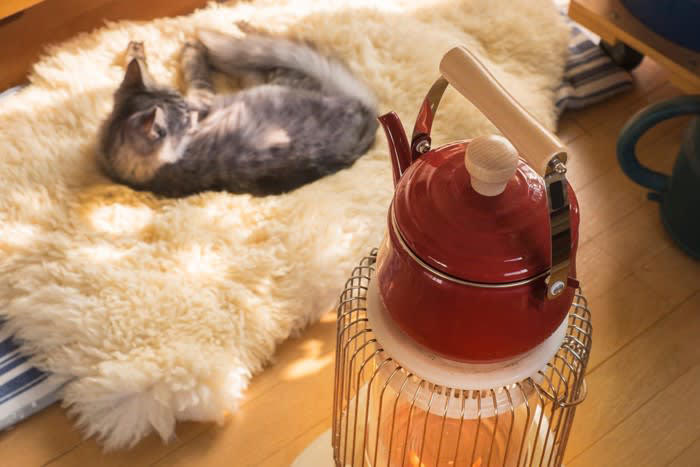 猫が『やけど』したときの症状と対処法, 1.皮膚が赤くなる, 2.水ぶくれ・皮膚のめくれ, 3.皮膚が焼けただれる
