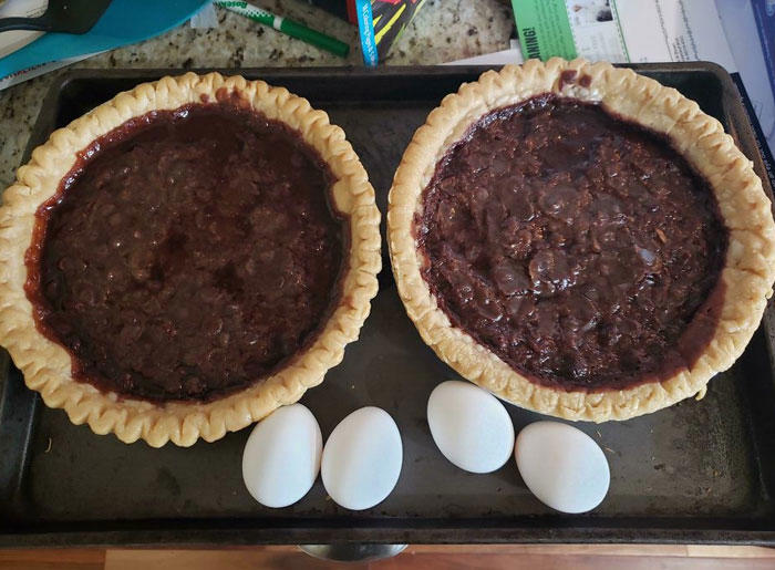 #15 See Those Eggs? They Are Supposed To Be In The Pies. I Made Two Hot Oily Chocolate Garbage Circles #1 Dumplings From The Hell's Gate, #5 This Was Way Cuter When I Pictured It In My Head, #9 New Style Ribs. Introducing: Hell Done, #11 Making Brownies Didn't Go As Planned, #13 You Did Your Best, Chef, #17 Having Currywurst In Your Trunk, #21 Accidentally Baked A Fly Into My Cookies, #23 Prepared Cinnamon Toast Crunch In The Dark. It Was Cheeze Its, #37 My Roommate Made Soup, #39 My Sister Toasted Bread With Jelly In My Brand New Toaster. She's 31, #41 Tried To Make A Cake. Not Sure What Went Wrong, #45 Forgot Apple Pie Was In The Oven