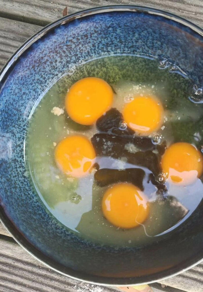 #27 We Had 6 Eggs Left. I Thought I Would Scramble Them For Breakfast. The 6th One I Cracked In The Bowl Was Completely Rotten #1 Dumplings From The Hell's Gate, #5 This Was Way Cuter When I Pictured It In My Head, #9 New Style Ribs. Introducing: Hell Done, #11 Making Brownies Didn't Go As Planned, #13 You Did Your Best, Chef, #17 Having Currywurst In Your Trunk, #21 Accidentally Baked A Fly Into My Cookies, #23 Prepared Cinnamon Toast Crunch In The Dark. It Was Cheeze Its, #37 My Roommate Made Soup, #39 My Sister Toasted Bread With Jelly In My Brand New Toaster. She's 31, #41 Tried To Make A Cake. Not Sure What Went Wrong, #45 Forgot Apple Pie Was In The Oven