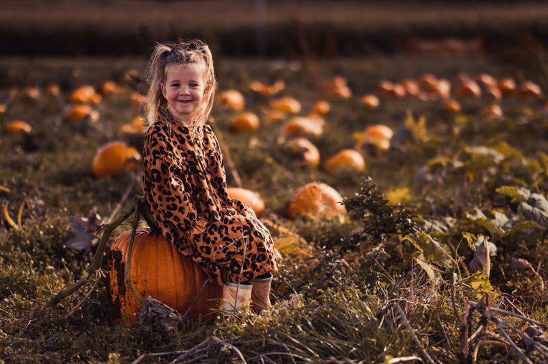Pumpkin picking in South Wales, Mushroom Foraging in Deeside, Apples in Devon, Grapes in Kent, Truffles in Wiltshire