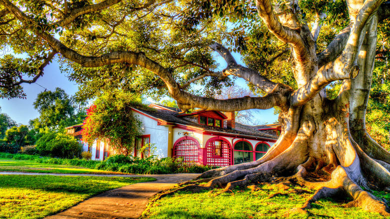 Immerse yourself in art at the Norton Simon Museum in Pasadena, Watch a silent film at Old Town Music Hall in El Segundo, Rancho Los Alamitos is a tranquil haven in Long Beach, Methodology