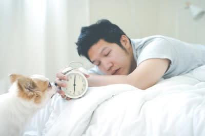 犬が早朝に起こしてくる理由4選, 1.トイレに行きたい, 2.お腹が空いた, 3.散歩に行きたい・遊びたい, 4.睡眠サイクルの乱れ, 犬の早起きをやめさせる対策