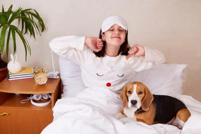 犬が早朝に起こしてくる理由4選, 1.トイレに行きたい, 2.お腹が空いた, 3.散歩に行きたい・遊びたい, 4.睡眠サイクルの乱れ, 犬の早起きをやめさせる対策