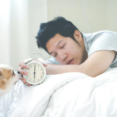 犬が早朝に起こしてくる理由4選, 1.トイレに行きたい, 2.お腹が空いた, 3.散歩に行きたい・遊びたい, 4.睡眠サイクルの乱れ, 犬の早起きをやめさせる対策