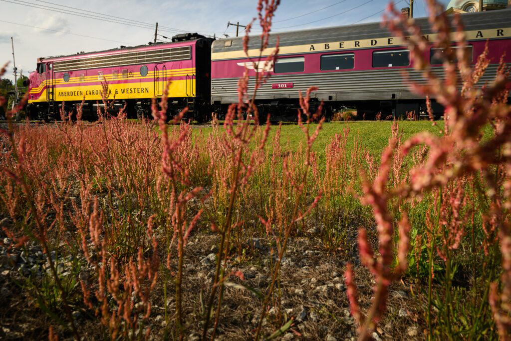 Senators Demand Train Safety Probe, Senators Warn of Fatal Collisions, Tesla's FSD Faces Renewed Scrutiny Over Safety Concerns, Musk Teases FSD Upgrades