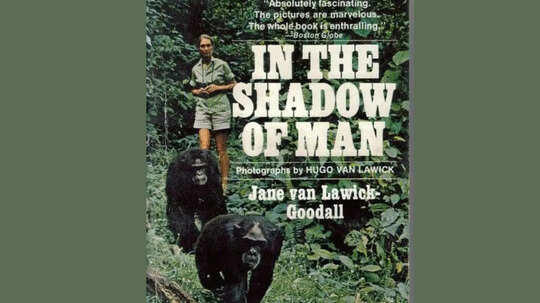 In The Shadow Of Man, The Chimpanzees of Gombe: Patterns of Behavior, Reason For Hope: A Spiritual Journey, The Chimpanzee Family Book