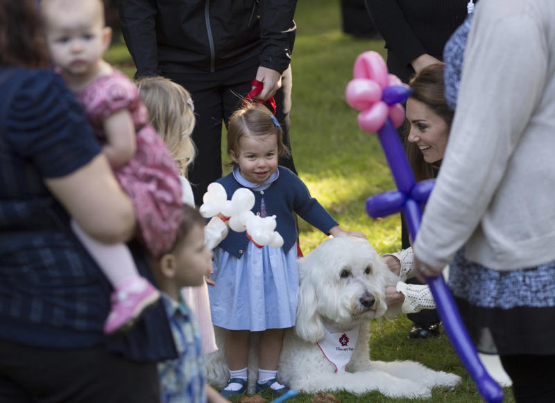 Princess Charlotte Royal kids just being kids, Prince Louis, Prince George, Prince Harry, Princess Elizabeth and Princess Margaret, Prince Charles and Princess Anne, Princess Charlotte, Prince William and Prince Harry, Prince George, Princess Charlotte, and Prince Louis, Prince George and Princess Charlotte