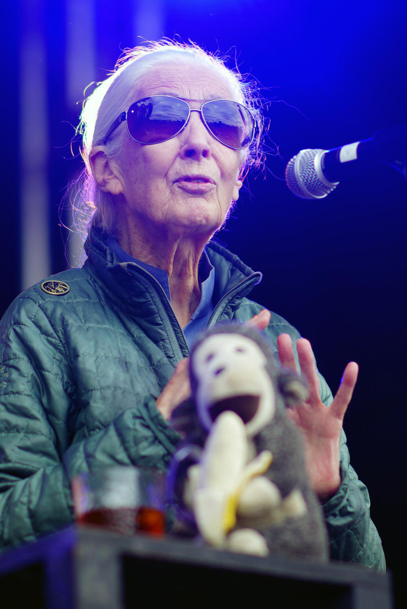 Who was she?, What did she achieve during her career?, Jane Goodall movies, Who were her family?