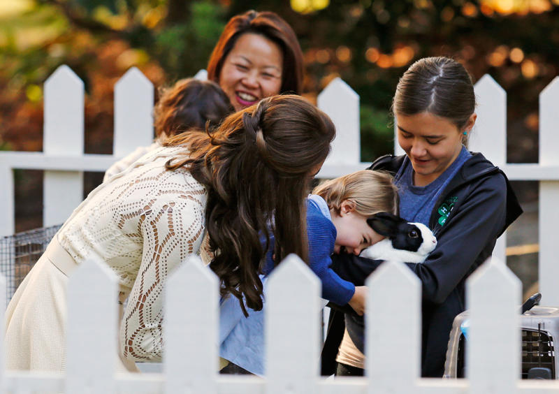 Princess Charlotte Royal kids just being kids, Prince Louis, Prince George, Prince Harry, Princess Elizabeth and Princess Margaret, Prince Charles and Princess Anne, Princess Charlotte, Prince William and Prince Harry, Prince George, Princess Charlotte, and Prince Louis, Prince George and Princess Charlotte