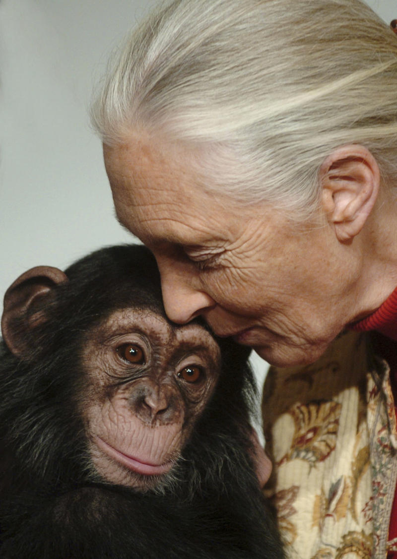 Who was she?, What did she achieve during her career?, Jane Goodall movies, Who were her family?