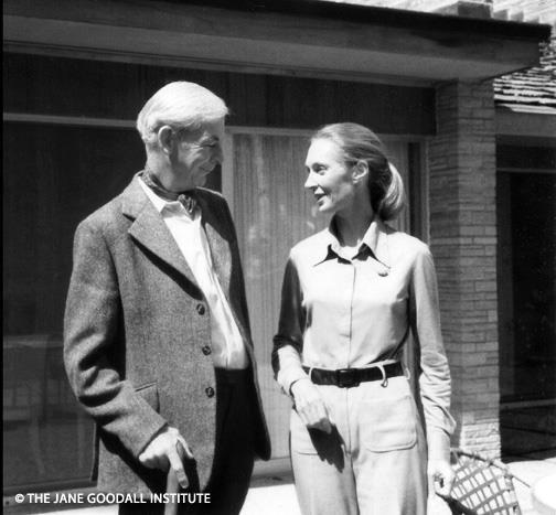 Who was she?, What did she achieve during her career?, Jane Goodall movies, Who were her family?
