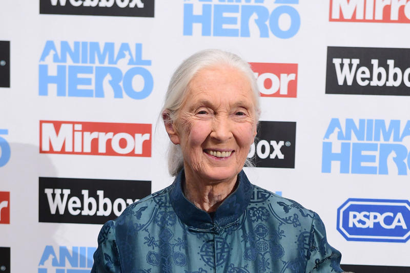 Who was she?, What did she achieve during her career?, Jane Goodall movies, Who were her family?