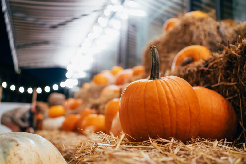 Step 1. Start with the right pumpkin. , Step 2. Begin cutting from the bottom, not the top. , Step 4. Scoop out all the pulp (and then some). , Step 5. Sketch out the design on paper first., Step 6. Hold the pumpkin in your lap. , Step 7. Start with simple rough cuts. , Step 8. Use scraps creatively., Step 9. Keep your pumpkin fresh. , Step 10. Light it up. , Step 11. Create a chimney. , Step 12. Sprinkle cinnamon inside the lid. 