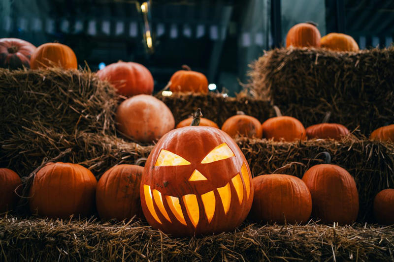 Step 1. Start with the right pumpkin. , Step 2. Begin cutting from the bottom, not the top. , Step 4. Scoop out all the pulp (and then some). , Step 5. Sketch out the design on paper first., Step 6. Hold the pumpkin in your lap. , Step 7. Start with simple rough cuts. , Step 8. Use scraps creatively., Step 9. Keep your pumpkin fresh. , Step 10. Light it up. , Step 11. Create a chimney. , Step 12. Sprinkle cinnamon inside the lid. 