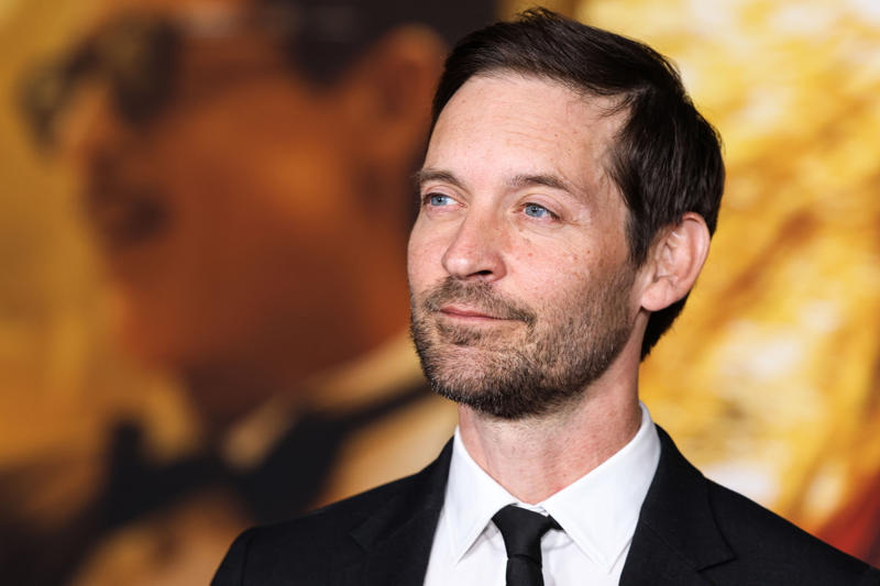 ビル・マーレイ『ゾンビランド』, ケイト・ブランシェット『ホット・ファズ』, チャニング・テイタム『ディス・イズ・ジ・エンド』, ジョニー・デップ『21ジャンプストリート』, スティーブ・マーティン『マペットの夢みるハリウッド』, デヴィッド・ボウイ『ズーランダー』, クエンティン・タランティーノ『パルプ・フィクション』, セシル・B・デミル『サンセット大通り』, マット・デイモン『マイティ・ソー バトルロイヤル』, トビー・マグワイア『トロピック・サンダー/史上最低の作戦』